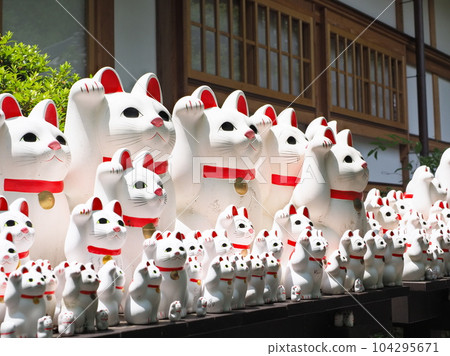 Gotokuji lucky cat 104295671