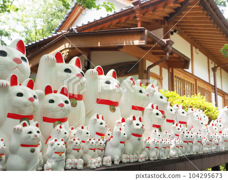 Gotokuji lucky cat 104295673