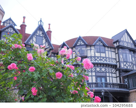 Hokkaido scenery Shiroi Koibito Burke's rose garden 104295688