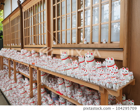 Gotokuji lucky cat 104295709