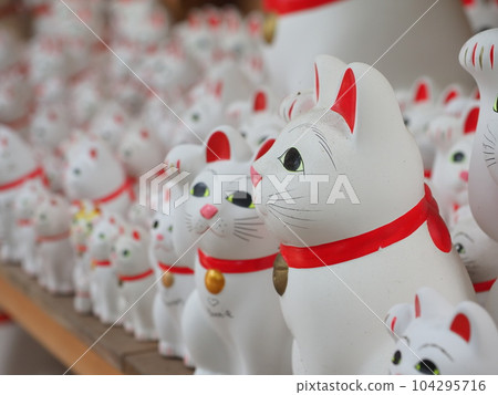Gotokuji lucky cat 104295716