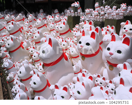 Gotokuji lucky cat 104295731