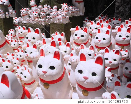 Gotokuji lucky cat 104295733