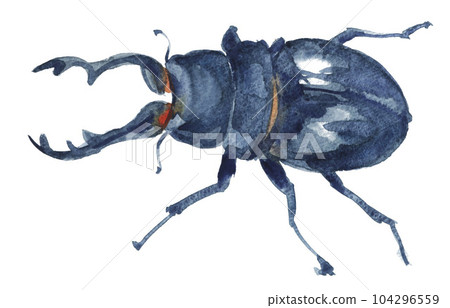 Stag beetle drawn by watercolor23625pix7 104296559
