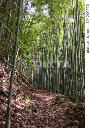 日本岡山縣真庭市的日番山風景非常美麗 日本岡山縣真庭市的日番山風景非常美麗 104296726