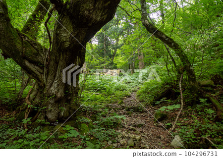 Very beautiful scenery of Mt.Hitsugayama in Maniwa city, Okayama prefecture, Japan Very beautiful scenery of Mt.Hitsugayama in Maniwa city, Okayama prefecture, Japan 104296731