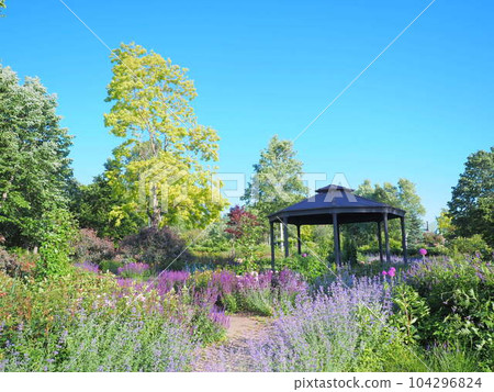 北海道風景 十勝丘陵風景 104296824