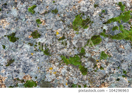 Closeup of old mossy gray stone Closeup of old mossy gray stone 104296963