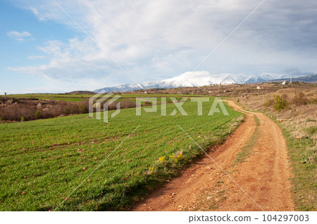 Country landscape, dirt road along the green fields at sunset 104297003