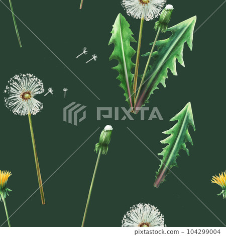 Watercolor seamless pattern with dandelions flowers and green leaves. Hand painting clipart botanical meadow illustration on a white isolated background. For designers, decoration, postcards, wrapping Watercolor seamless pattern with dandelions flowers and green leaves. Hand painting clipart botanical meadow illustration on a white isolated background. For designers, decoration, postcards, wrapping 104299004