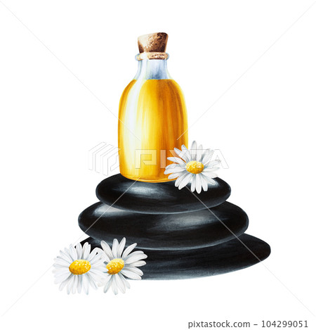 Watercolor oil glass bottle with cork cap and chamomile on spa zen stones pyramid isolated on white background. Beauty products and botany elements, cosmetology and medicine. For designers, spa 104299051