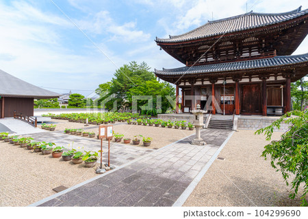 [Nara Prefecture] Kikoji Temple, Nara City (taken on 2023/06/20) 104299690