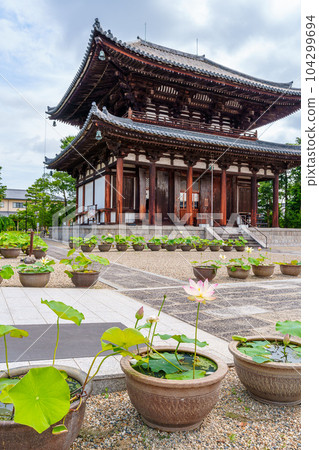 [奈良縣] 奈良市喜光寺（拍攝於2023/06/20） 104299694