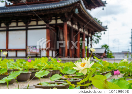 [Nara Prefecture] Kikoji Temple, Nara City (taken on 2023/06/20) 104299698