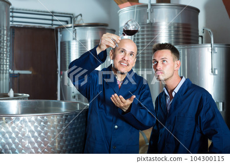 Positive two workers examining sample of wine 104300115