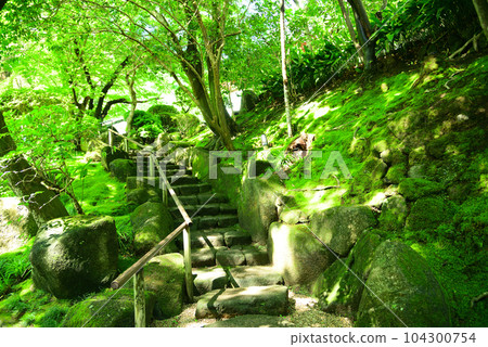 鎌倉報國寺以竹林而聞名 104300754
