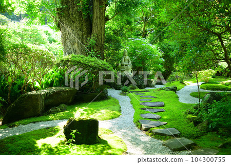 鎌倉報國寺以竹林而聞名 鎌倉報國寺以竹林而聞名 104300755