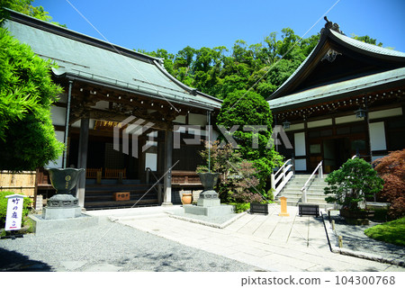 鎌倉報國寺以竹林而聞名 鎌倉報國寺以竹林而聞名 104300768