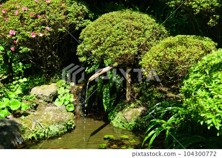 鎌倉報國寺以竹林而聞名 104300772