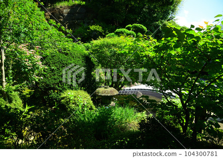 鎌倉報國寺以竹林而聞名 104300781