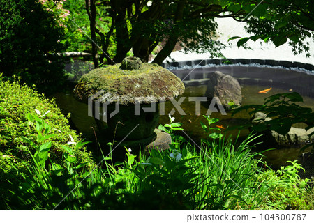 鎌倉報國寺以竹林而聞名 鎌倉報國寺以竹林而聞名 104300787