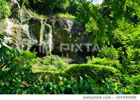 鎌倉報國寺以竹林而聞名 104300806