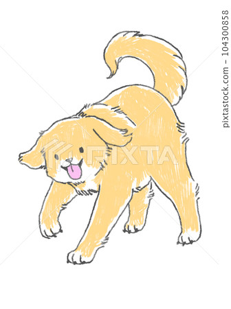 Shaggy dog ④ Shaggy dog ④ 104300858