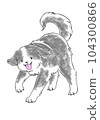 frolic dog 104300866
