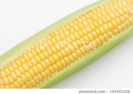 corn  104301208