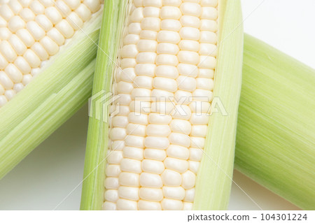 corn corn 104301224