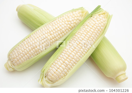 corn corn 104301226