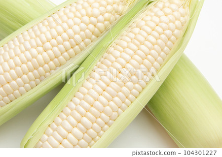 corn  104301227
