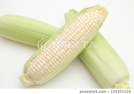 corn corn 104301228
