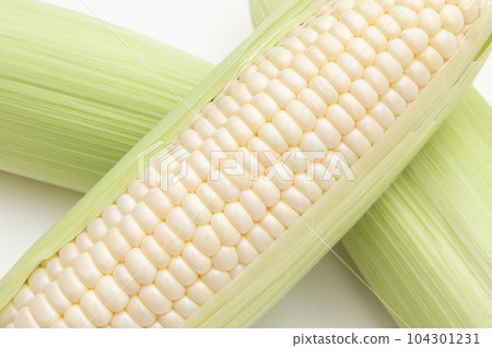 corn corn 104301231
