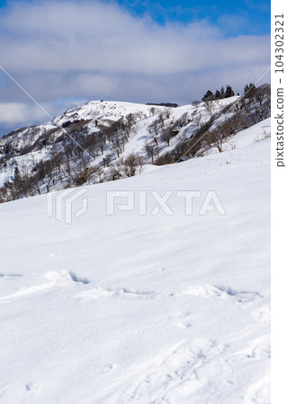 兵庫縣最高峰·兵庫縣最高峰·兵庫山雪山攀登 從雪原仰望兵庫縣山頂 兵庫縣最高峰·兵庫縣最高峰·兵庫山雪山攀登 從雪原仰望兵庫縣山頂 104302321