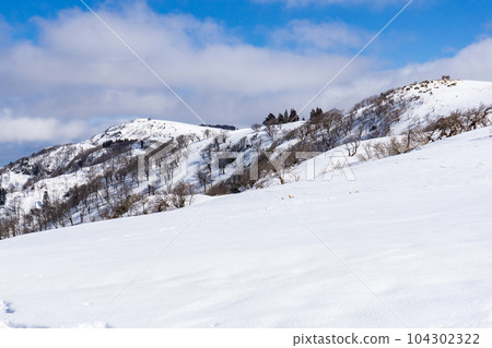 Hyogo Prefecture's highest peak, Mt. Hyono Snow Mountain Climb Looking up at the summit of Mt. Hyono from the snowfield 104302322