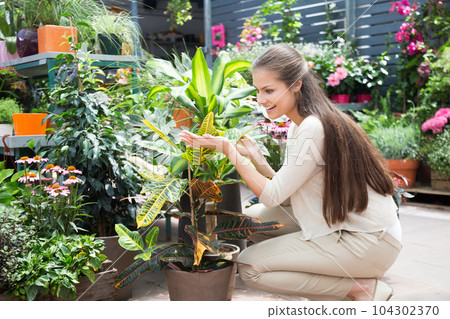 young lovely saleswoman in flower shop young lovely saleswoman in flower shop 104302370