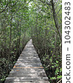 Forest of the Sea 104302483
