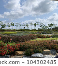 flowers in the garden 104302485