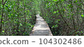 boardwalk in the forest 104302486
