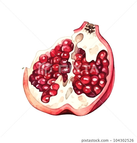 Pomegranate watercolor on white background. Isolated vector element. Sweet food. Pomegranate watercolor on white background. Isolated vector element. Sweet food. 104302526