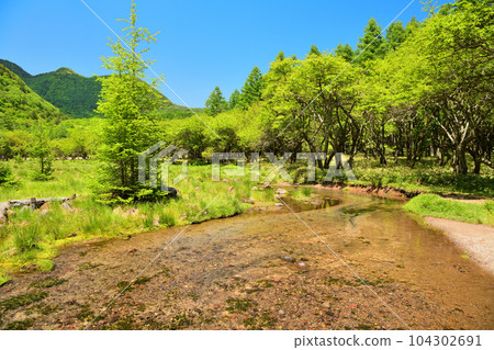 栃木縣日光市奧日光的高德沼澤和坂川 栃木縣日光市奧日光的高德沼澤和坂川 104302691