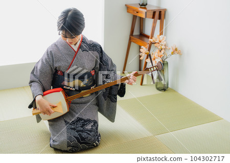 Shamisen, kimono, Japanese-style room Shamisen, kimono, Japanese-style room 104302717