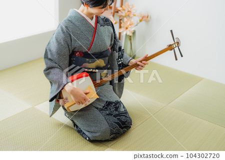 三味線、和服、日式房間 三味線、和服、日式房間 104302720