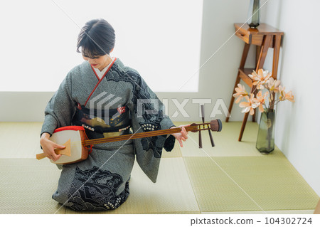Shamisen, kimono, Japanese-style room Shamisen, kimono, Japanese-style room 104302724