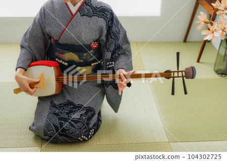 Shamisen, kimono, Japanese-style room Shamisen, kimono, Japanese-style room 104302725