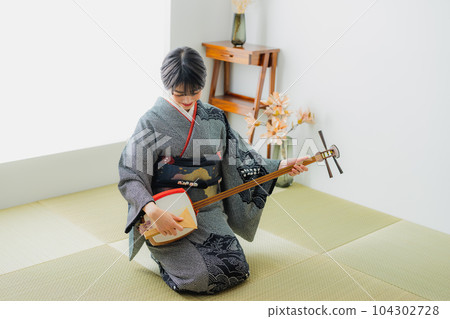 Shamisen, kimono, Japanese-style room Shamisen, kimono, Japanese-style room 104302728