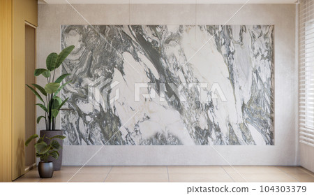 marble room with space 104303379
