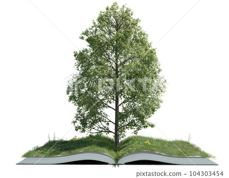 Fantastic tree on open book with green grass field isolated on white background 104303454