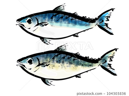 Hand-drawn Japanese style illustration of mackerel and sesame mackerel Japanese style material 104303836